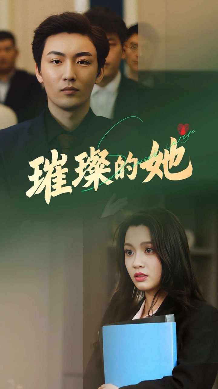 剧集海报：旧档案